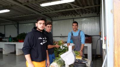 Project Επιχειρηματικότητας Φυτικής Παραγωγής - Παραγωγή και Εμπορία Λαχανικών